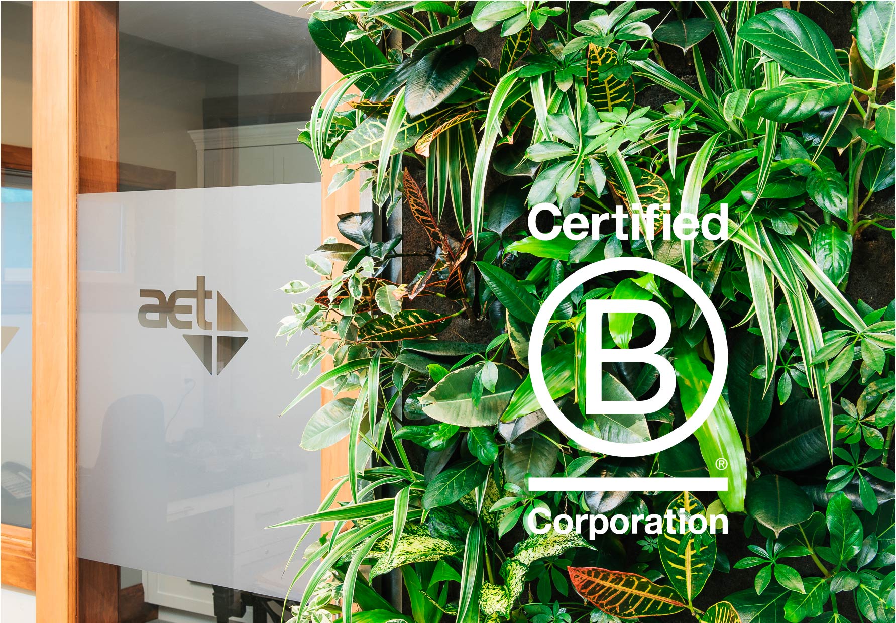 AET Group Achieves 3-year B Corp Recertification with Improved Score ...